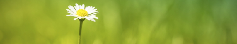 iStock_000021379368Large.jpg