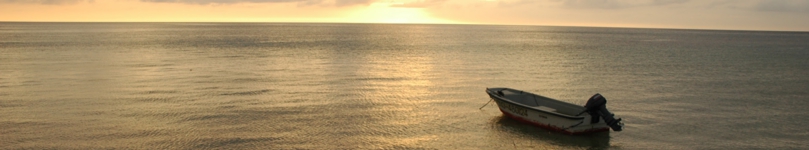 bind_free083.jpg