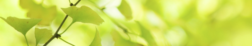 iStock_000015064264Large.jpg