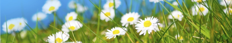 iStock_000005606105XLarge.jpg